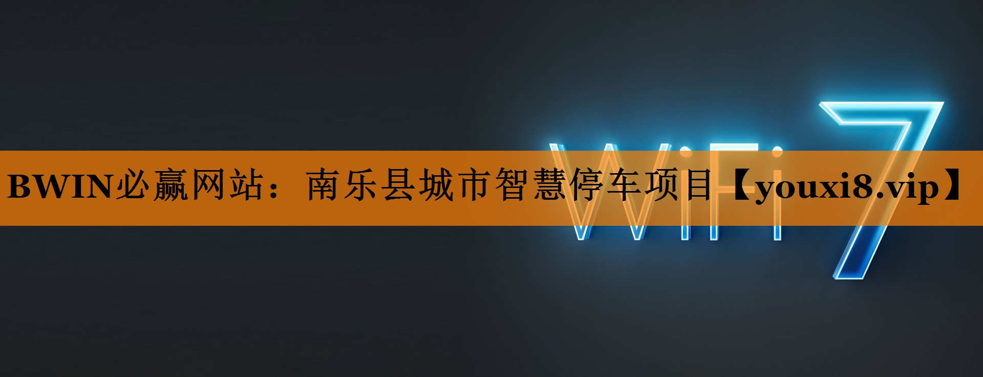 南乐县城市智慧停车项目