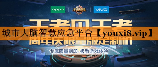 城市大脑智慧应急平台