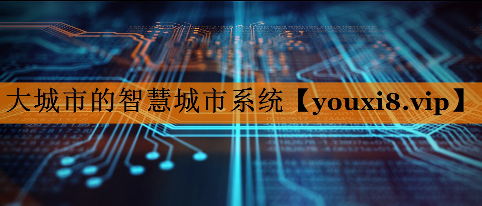 大城市的智慧城市系统