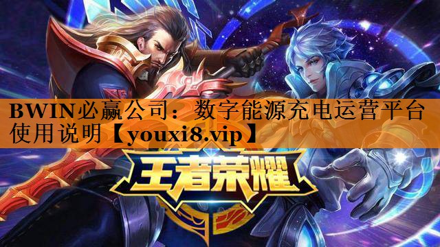 BWIN必赢公司：数字能源充电运营平台使用说明