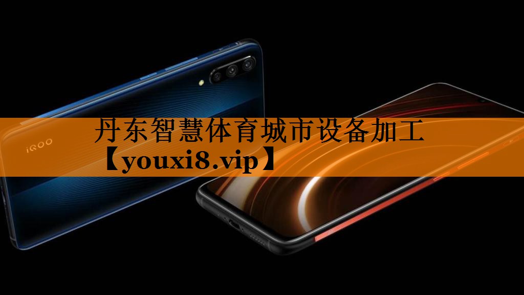 丹东智慧体育城市设备加工 丹东智慧体育城市设备加工